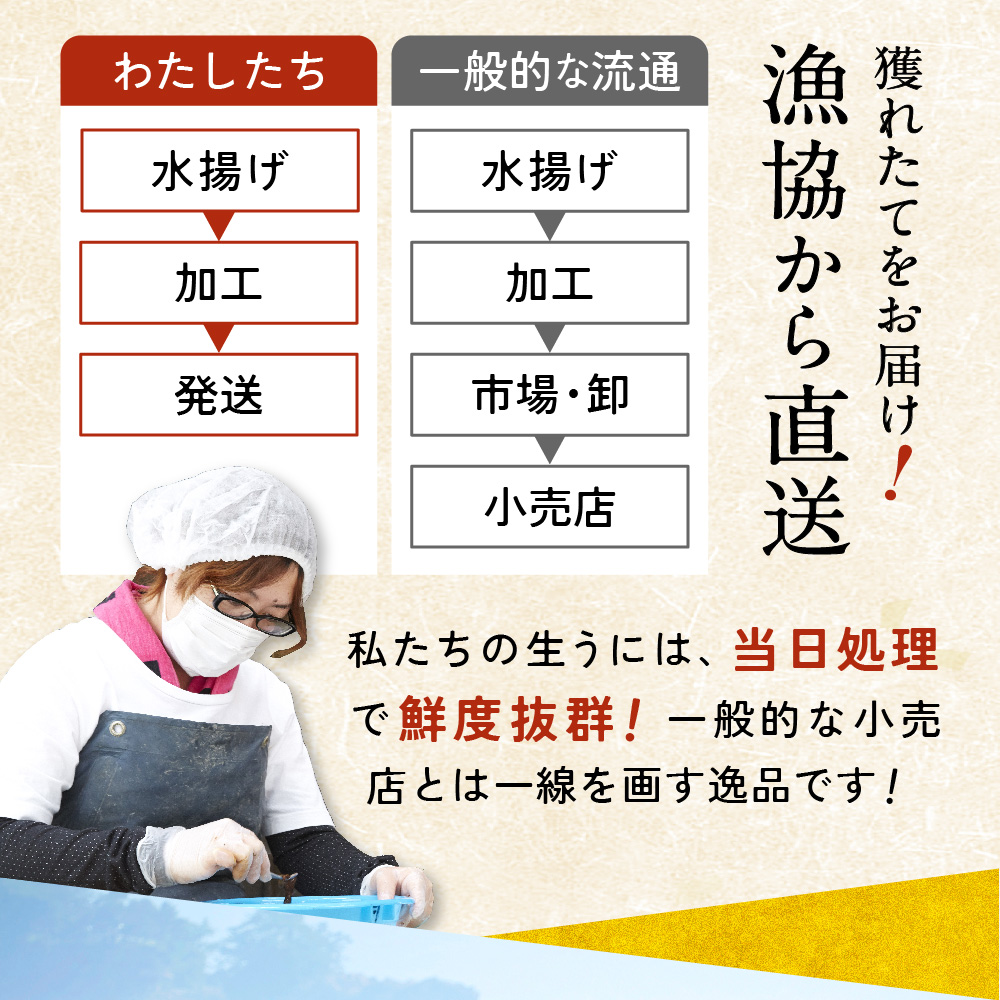 先行予約 生うに 250g ミョウバン不使用 うに 無添加 ムラサキウニ 2027年5月下旬から順次発送予定 RT2560